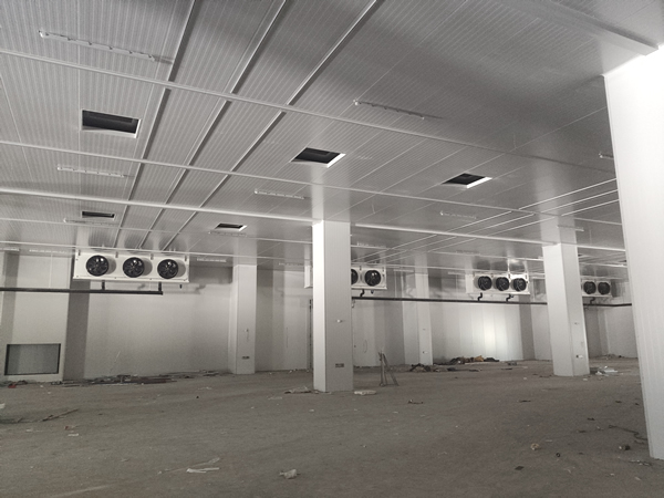 存200噸貨需要多大面積冷庫？造價多少？