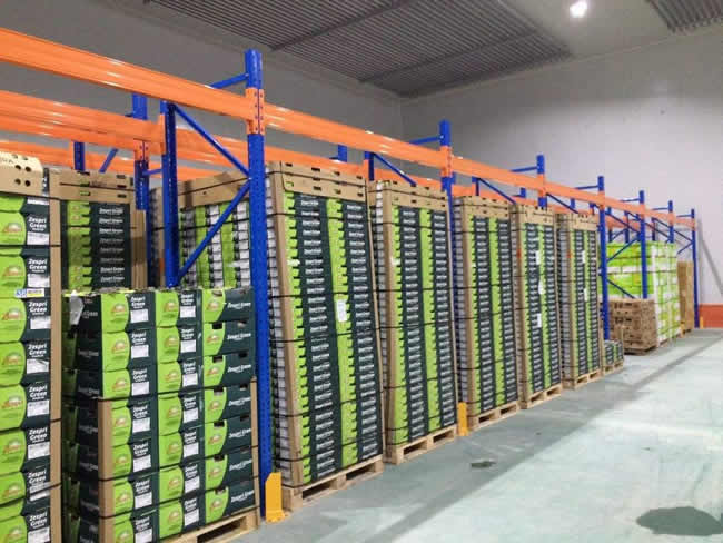 桃、李、杏水果儲(chǔ)存保鮮冷庫(kù)建造及造價(jià)